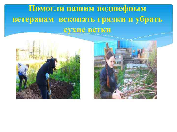Помогли нашим подшефным ветеранам вскопать грядки и убрать сухие ветки 