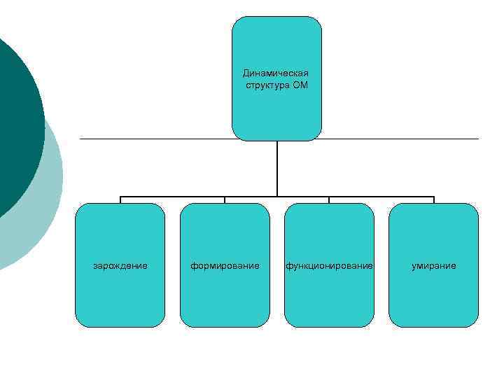Динамическая структура ОМ зарождение формирование функционирование умирание 