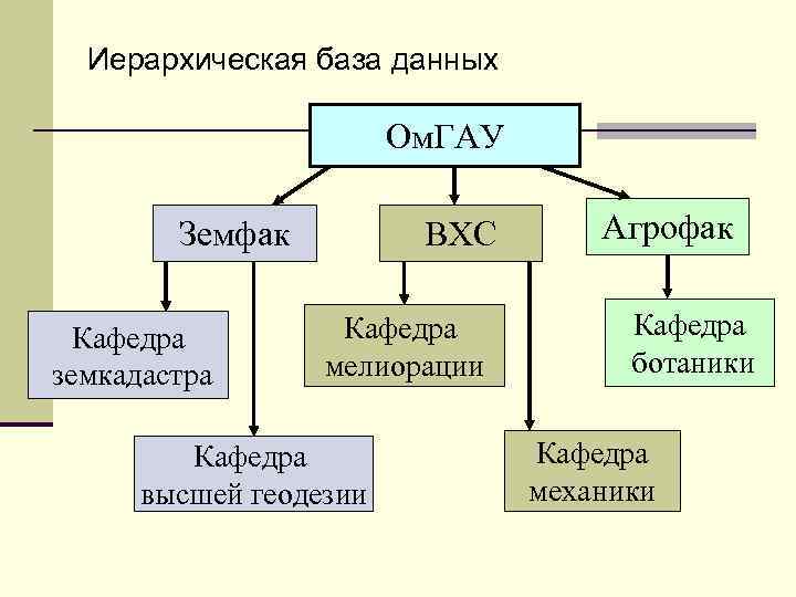 Иерархическая база данных Ом. ГАУ Земфак Кафедра земкадастра ВХС Кафедра мелиорации Кафедра высшей геодезии