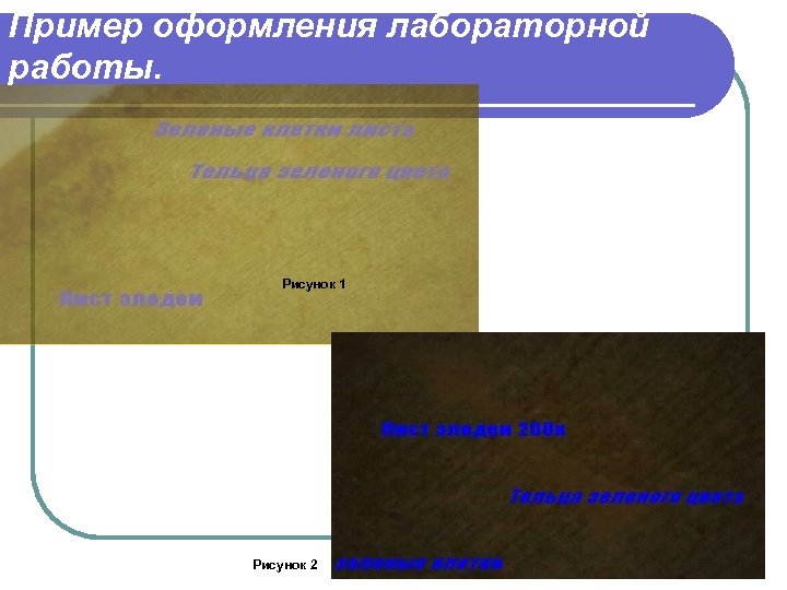 Пример оформления лабораторной работы. Рисунок 1 Рисунок 2 
