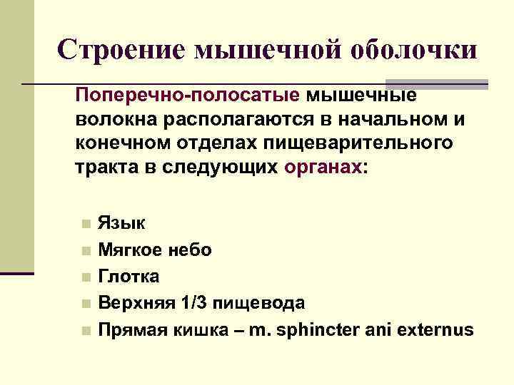 Строение мышечной оболочки Поперечно-полосатые мышечные волокна располагаются в начальном и конечном отделах пищеварительного тракта