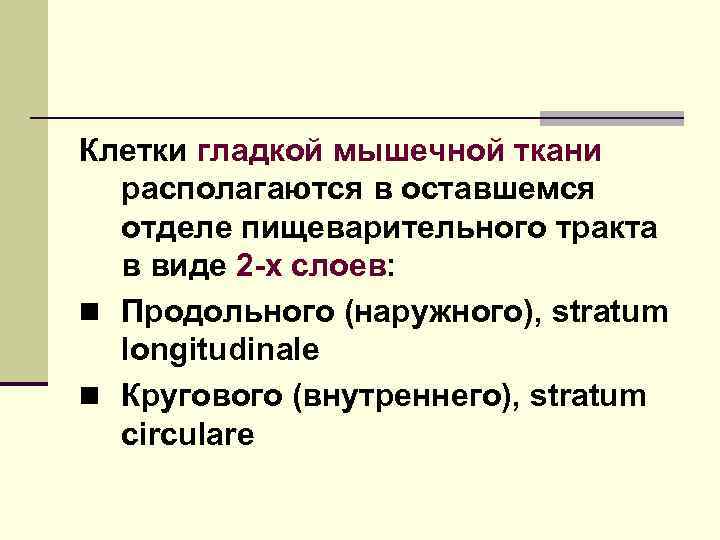 Клетки гладкой мышечной ткани располагаются в оставшемся отделе пищеварительного тракта в виде 2 -х