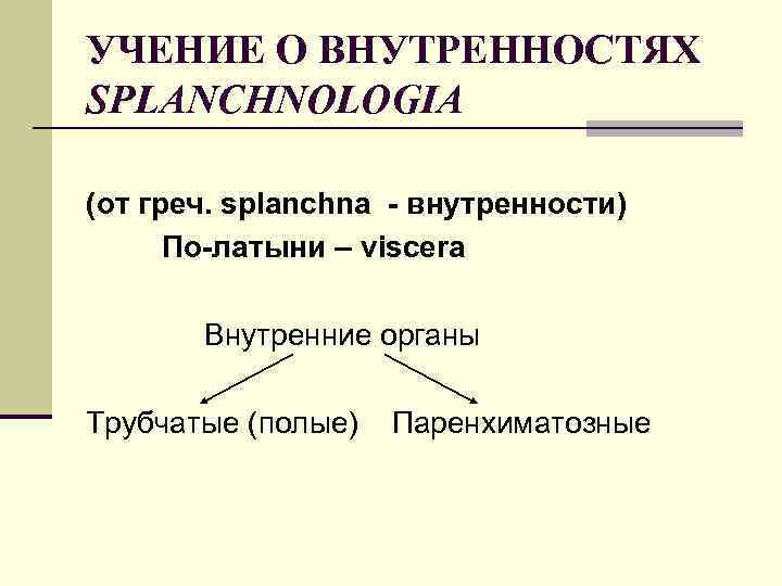 УЧЕНИЕ О ВНУТРЕННОСТЯХ SPLANCHNOLOGIA (от греч. splanchna - внутренности) По-латыни – viscera Внутренние органы