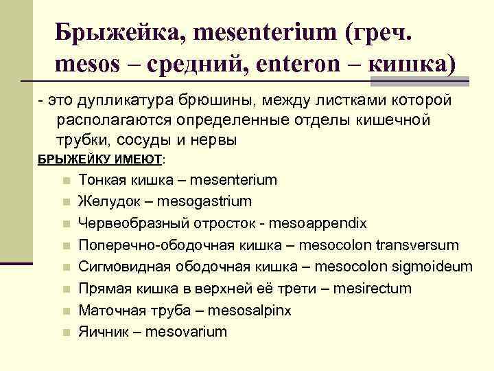 Брыжейка, mesenterium (греч. mesos – средний, enteron – кишка) - это дупликатура брюшины, между