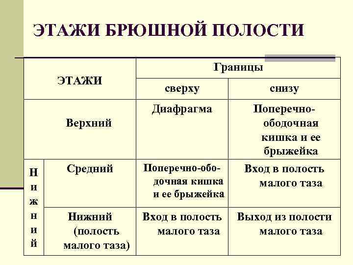 ЭТАЖИ БРЮШНОЙ ПОЛОСТИ Границы ЭТАЖИ сверху снизу Диафрагма Поперечноободочная кишка и ее брыжейка Вход