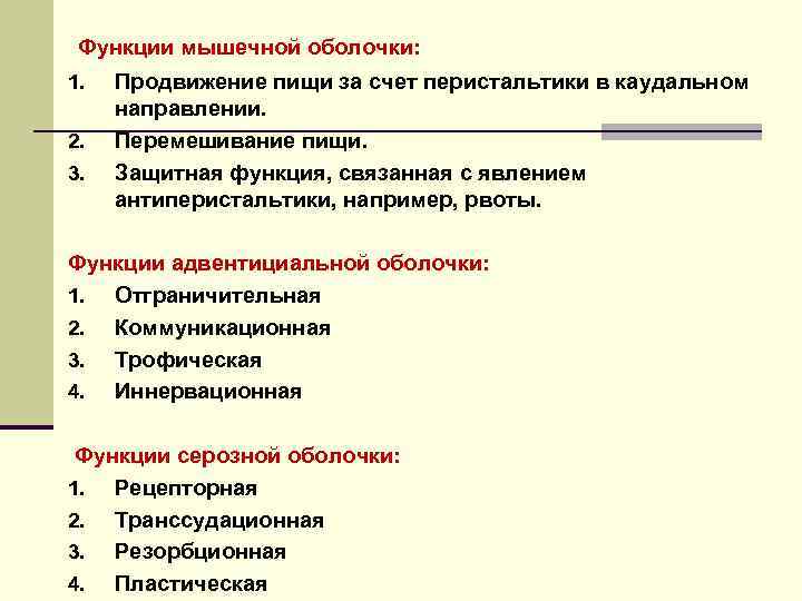 Функции мышечной оболочки: 1. 2. 3. Продвижение пищи за счет перистальтики в каудальном направлении.