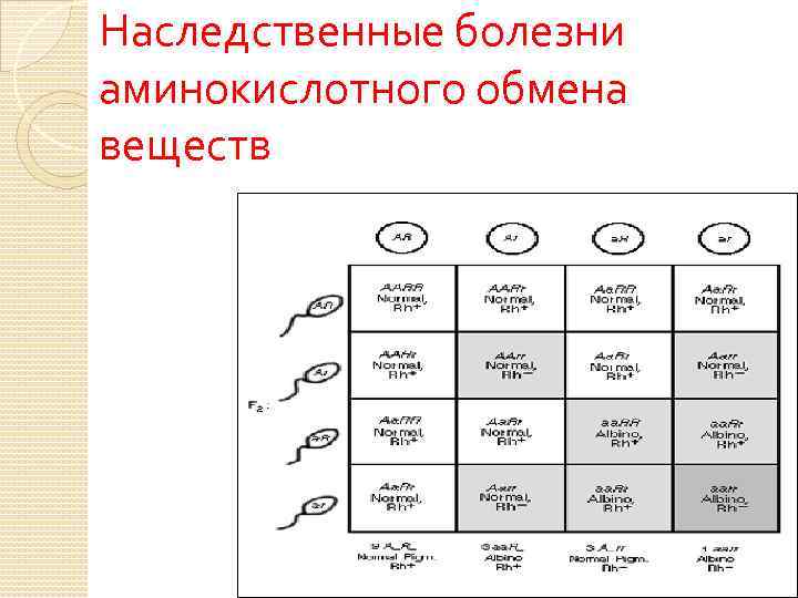 Наследственные болезни аминокислотного обмена веществ 