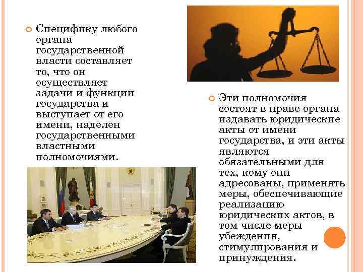  Специфику любого органа государственной власти составляет то, что он осуществляет задачи и функции