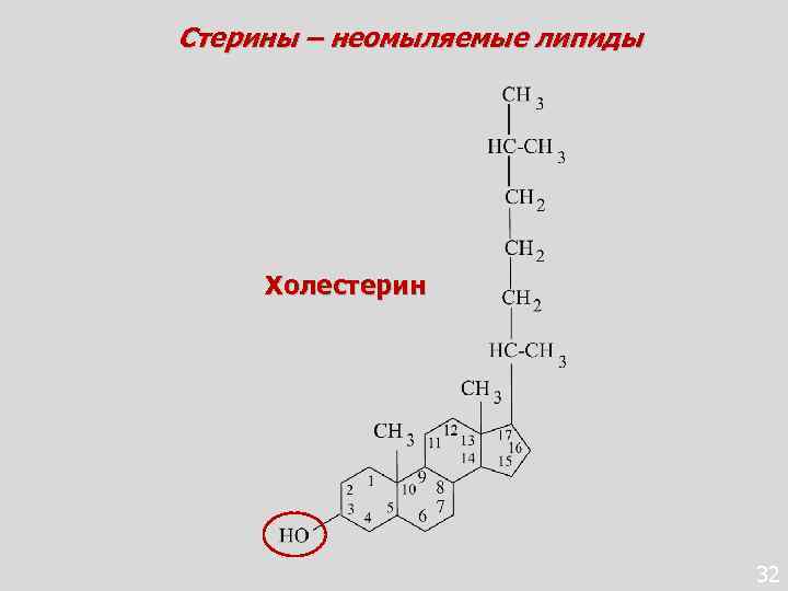 Неомыляемые липиды презентация