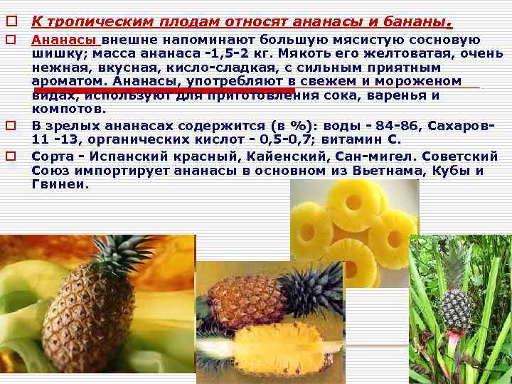 o К тропическим плодам относят ананасы и бананы. o o o Ананасы внешне напоминают
