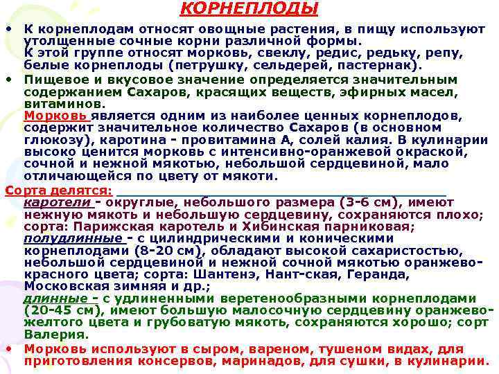 КОРНЕПЛОДЫ • К корнеплодам относят овощные растения, в пищу используют утолщенные сочные корни различной