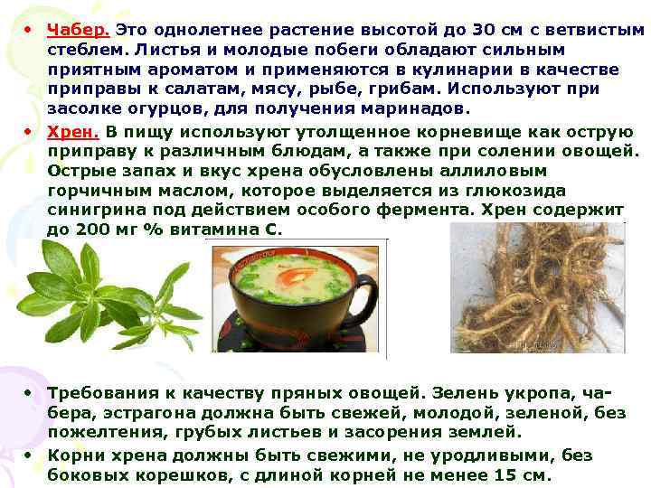  • Чабер. Это однолетнее растение высотой до 30 см с ветвистым стеблем. Листья