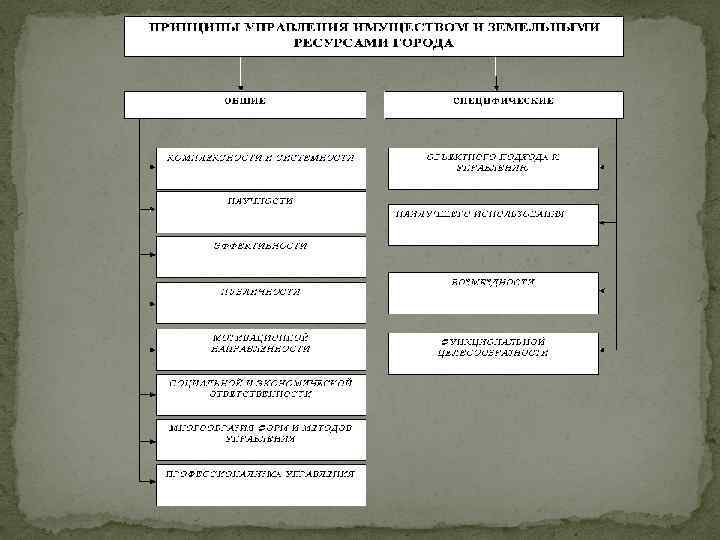 Функции управления земельными ресурсами схема