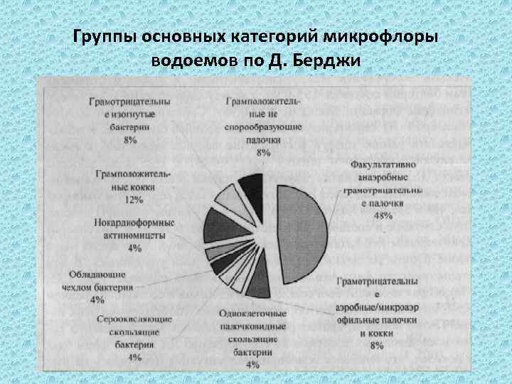 Группы основных категорий микрофлоры водоемов по Д. Берджи 