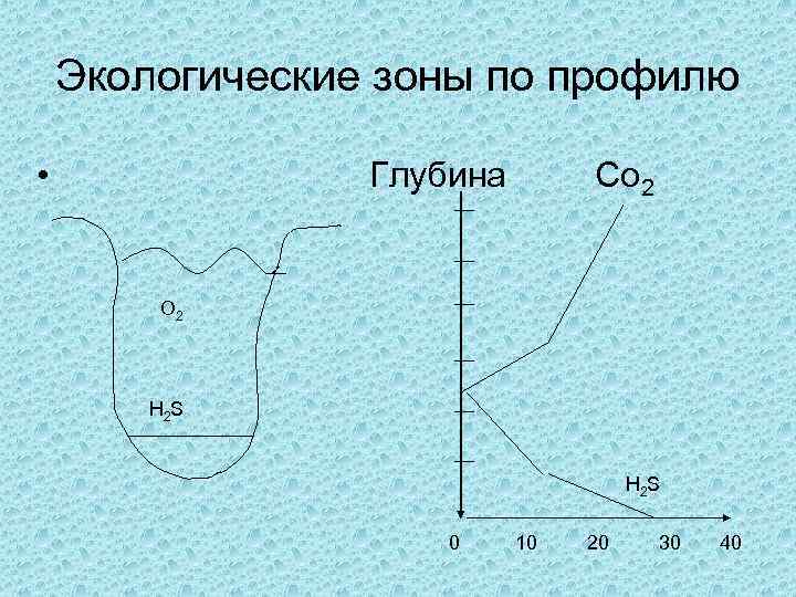 Экологические зоны по профилю • Глубина Со 2 О 2 H 2 S Н