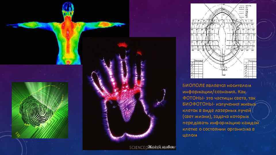 БИОПОЛЕ является носителем информации/сознания. Как ФОТОНЫ- это частицы света, так БИОФОТОНЫ- излучения живых клеток
