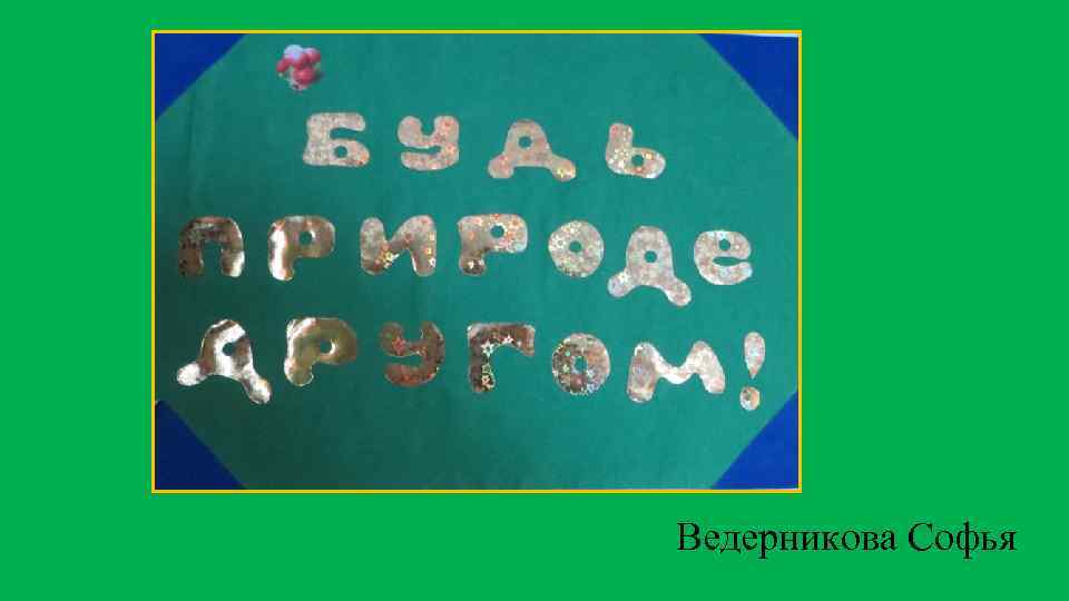 Ведерникова Софья 