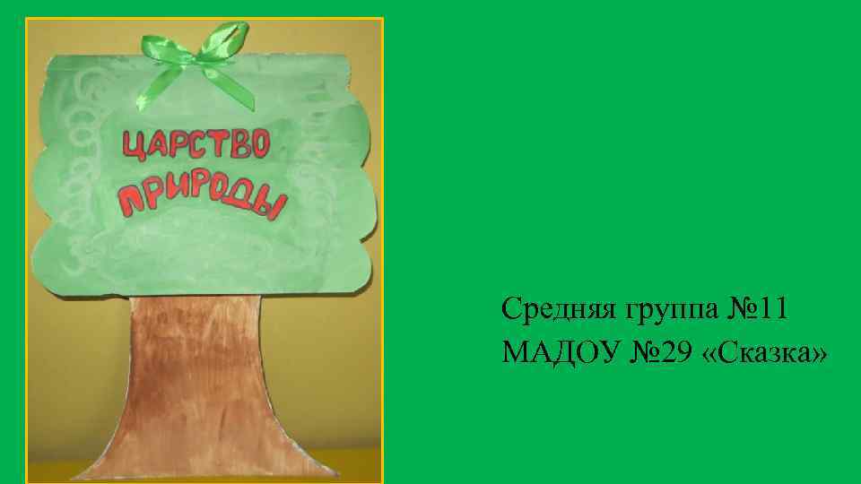 Средняя группа № 11 МАДОУ № 29 «Сказка» 
