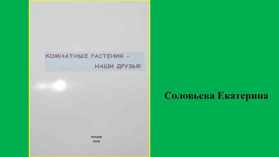 Соловьева Екатерина 