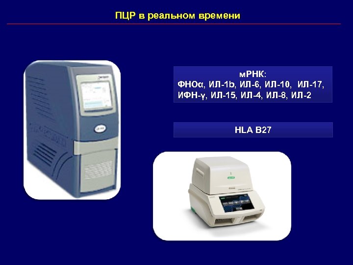 ПЦР в реальном времени м. РНК: ФНОα, ИЛ-1 b, ИЛ-6, ИЛ-10, ИЛ-17, ИФН-γ, ИЛ-15,