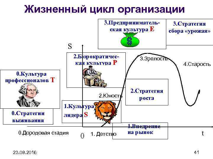 Жизненный цикл организации 3. Предпринимательская культура E 3. Стратегия сбора «урожая» S 2. Бюрократическая