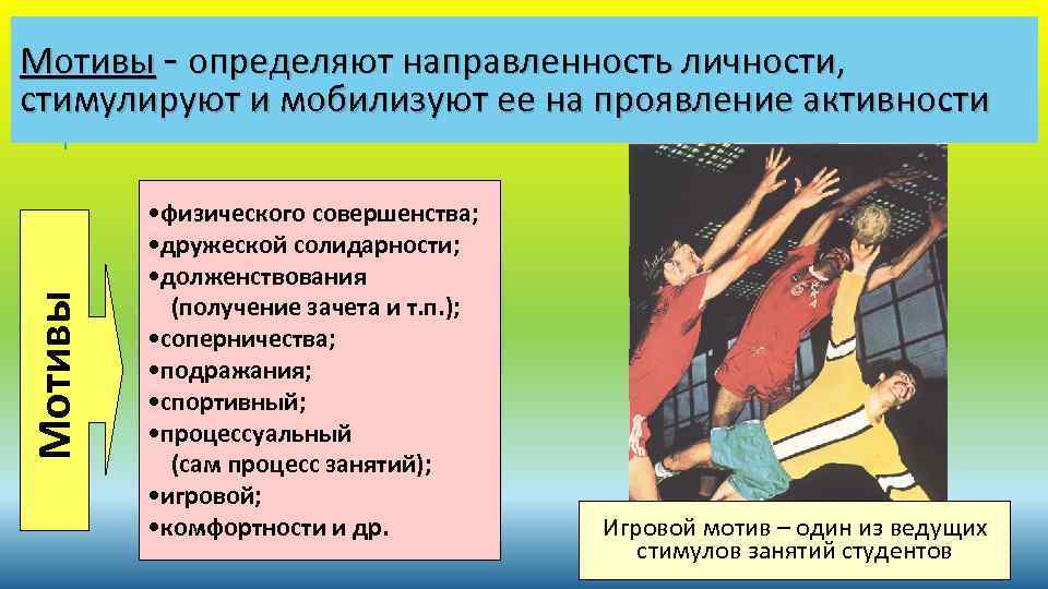 Мотивы - определяют направленность личности, стимулируют и мобилизуют ее на проявление активности • физического