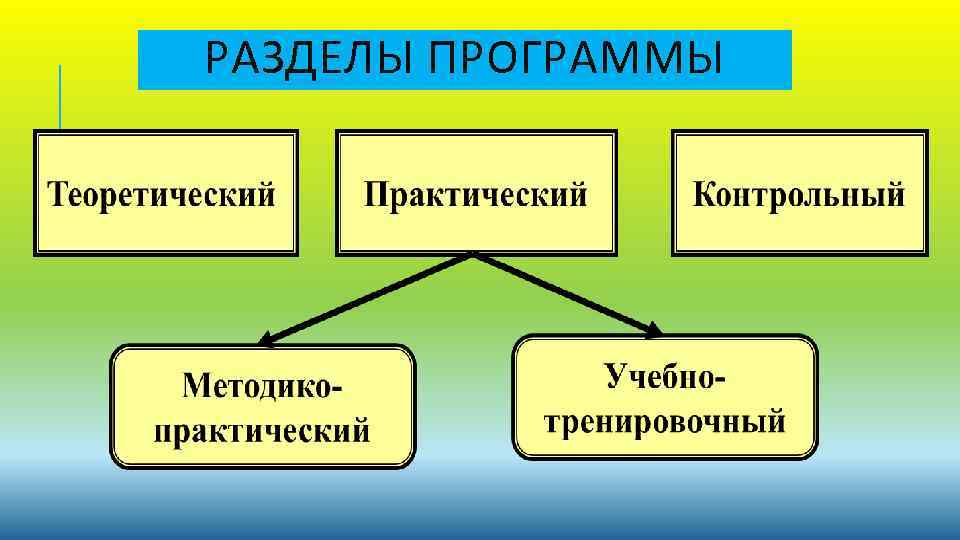 РАЗДЕЛЫ ПРОГРАММЫ 