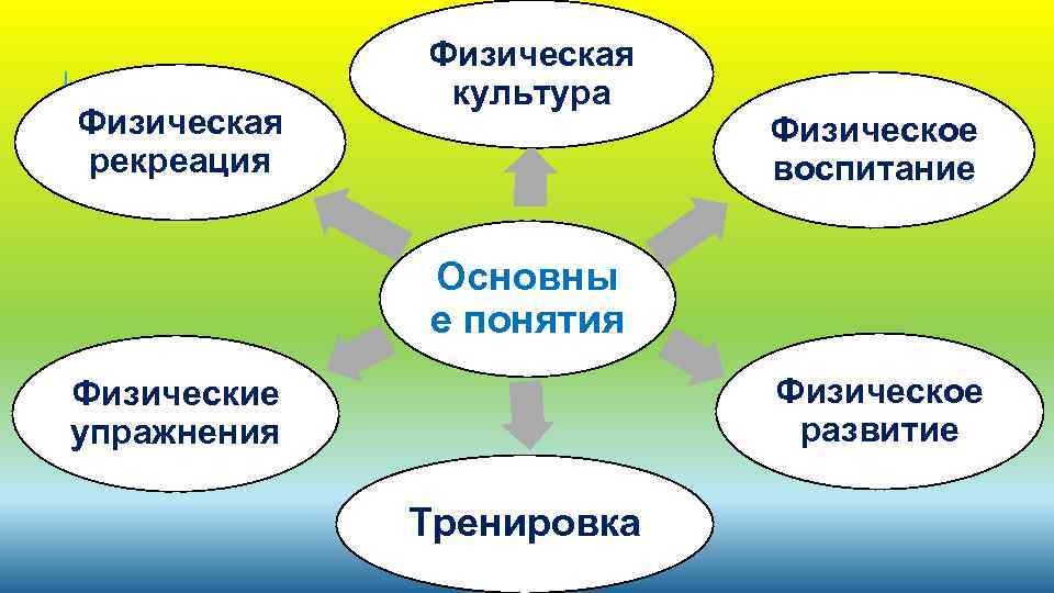 Физическая рекреация Физическая культура Физическое воспитание Основны е понятия Физическое развитие Физические упражнения Тренировка