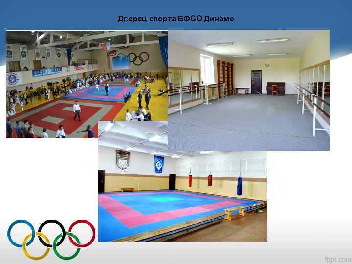 Дворец спорта БФСО Динамо 