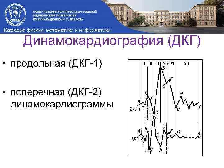 Кафедра физики, математики и информатики Динамокардиография (ДКГ) • продольная (ДКГ-1) • поперечная (ДКГ-2) динамокардиограммы