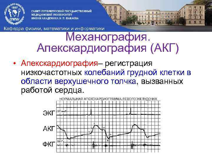 Кафедра физики, математики и информатики Механография. Апекскардиография (АКГ) • Апекскардиография– регистрация низкочастотных колебаний грудной