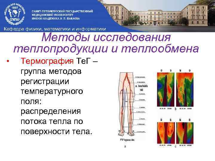 Кафедра физики, математики и информатики Методы исследования теплопродукции и теплообмена • Термография Те. Г