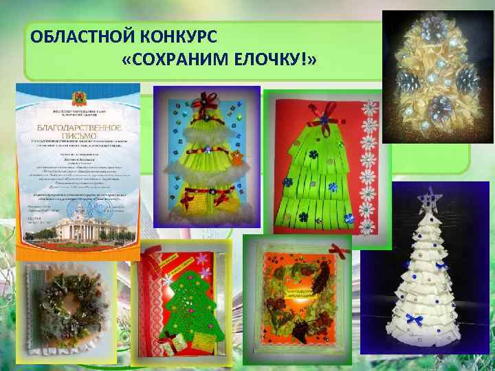 ОБЛАСТНОЙ КОНКУРС «СОХРАНИМ ЕЛОЧКУ!» 5 