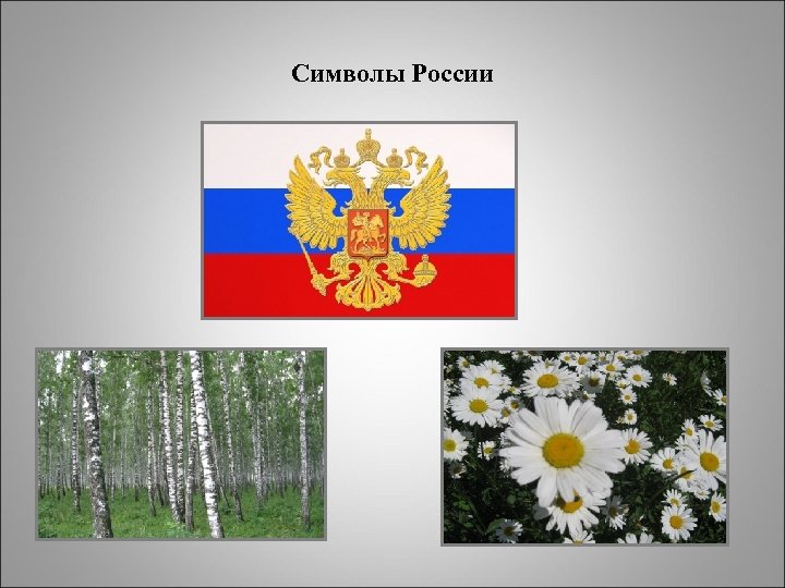 Ромашка неофициальный символ россии