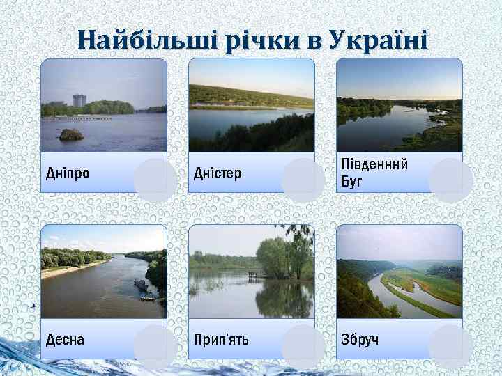 Найбільші річки в Україні Дніпро Дністер Південний Буг Десна Прип'ять Збруч 