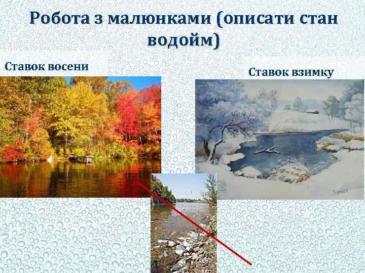 Робота з малюнками (описати стан водойм) Ставок восени Ставок взимку 
