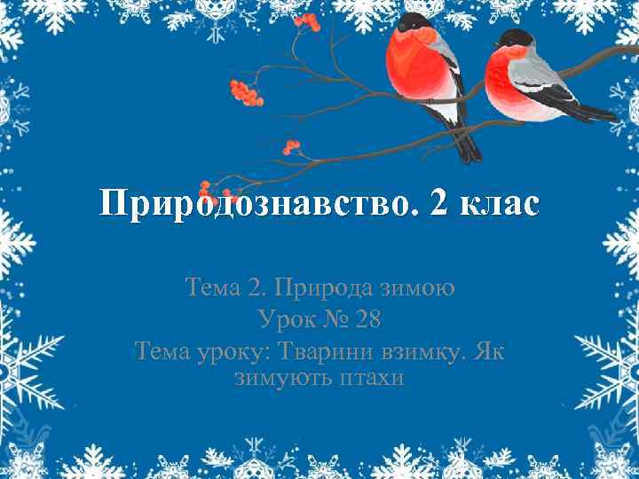 Природознавство. 2 клас Тема 2. Природа зимою Урок № 28 Тема уроку: Тварини взимку.