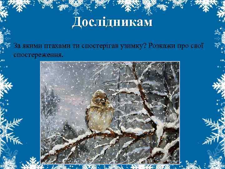 Дослідникам За якими птахами ти спостерігав узимку? Розкажи про свої спостереження. 