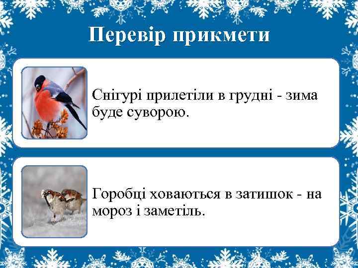 Перевір прикмети Снігурі прилетіли в грудні - зима буде суворою. Горобці ховаються в затишок