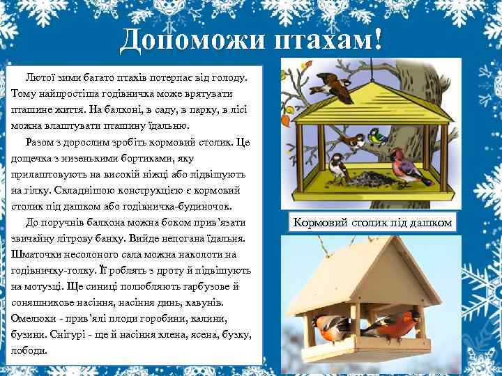 Допоможи птахам! Лютої зими багато птахів потерпає від голоду. Тому найпростіша годівничка може врятувати