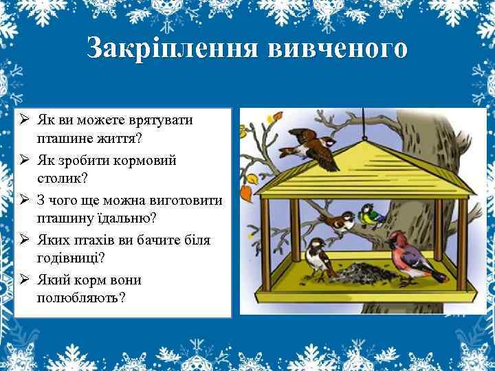 Закріплення вивченого Ø Як ви можете врятувати пташине життя? Ø Як зробити кормовий столик?