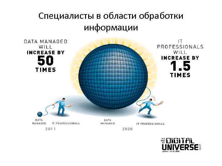 Специалисты в области обработки информации 