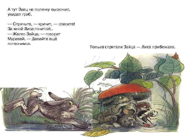 А тут Заяц на полянку выскочил, увидел гриб. — Спрячьте, — кричит, — спасите!