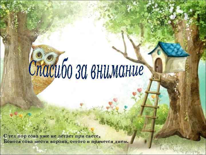 С тех пор сова уже не летает при свете. Боится сова мести ворона, оттого