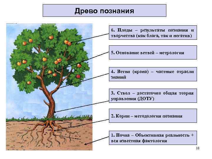 Древо познания 6. Плоды – результаты познания и творчества (как блага, так и негатив)