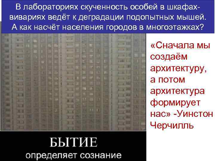 В лабораториях скученность особей в шкафахвивариях ведёт к деградации подопытных мышей. А как насчёт