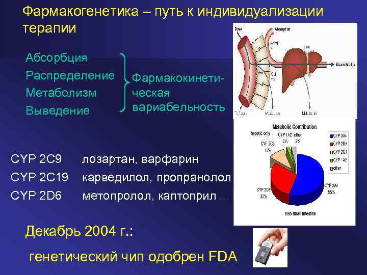 Фармакогенетика – путь к индивидуализации терапии Абсорбция Распределение Метаболизм Выведение Фармакокинети ческая вариабельность CYP
