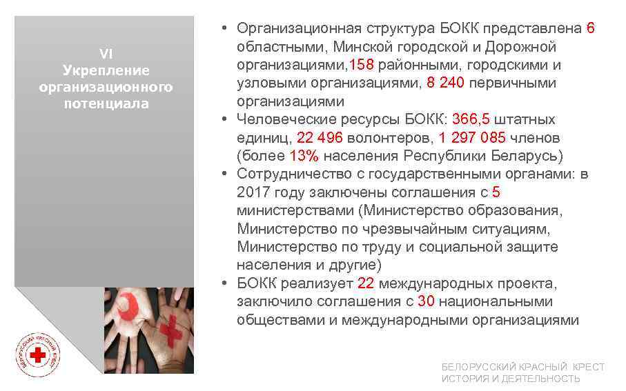 VI Укрепление организационного потенциала • Организационная структура БОКК представлена 6 областными, Минской городской и