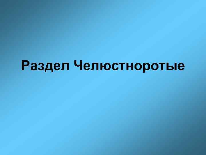 Раздел Челюстноротые 