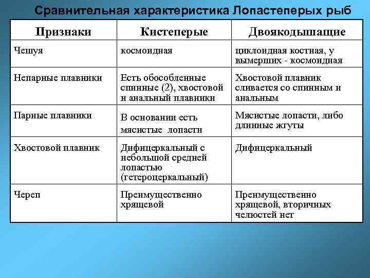 Сравнительная характеристика Лопастеперых рыб Признаки Кистеперые Двоякодышащие Чешуя космоидная циклоидная костная, у вымерших -